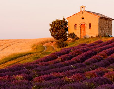 Réservez votre séjour à la bastide des Cyprès en Provence